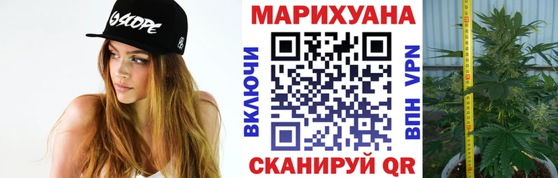 МЕФ Назрань