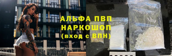 СК Волоколамск