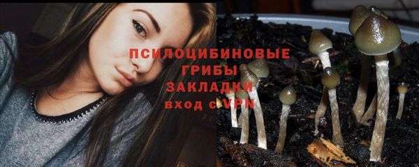 стафф Волосово