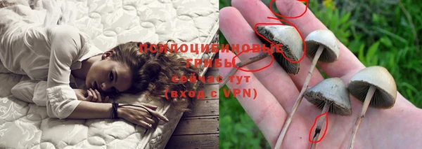 стафф Волосово